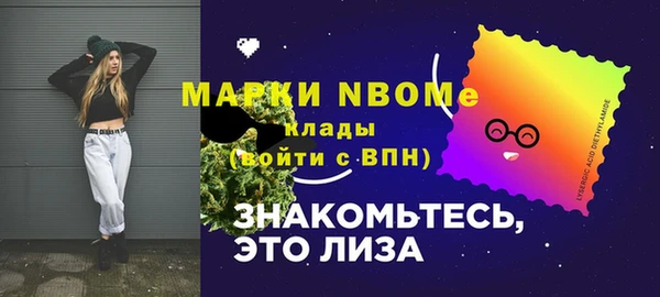 тгк Бородино
