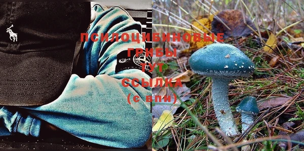 МДПВ Бронницы
