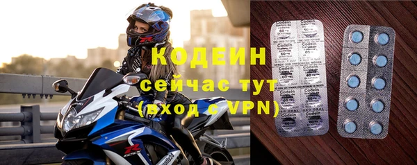 тгк Бородино