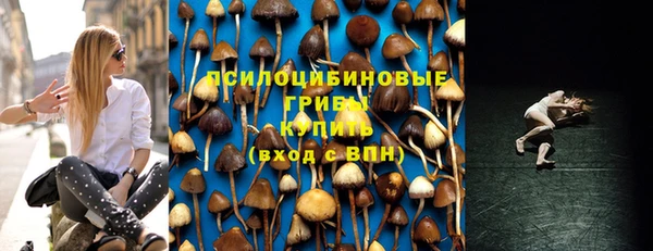 стафф Верея