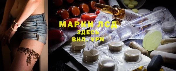тгк Бородино