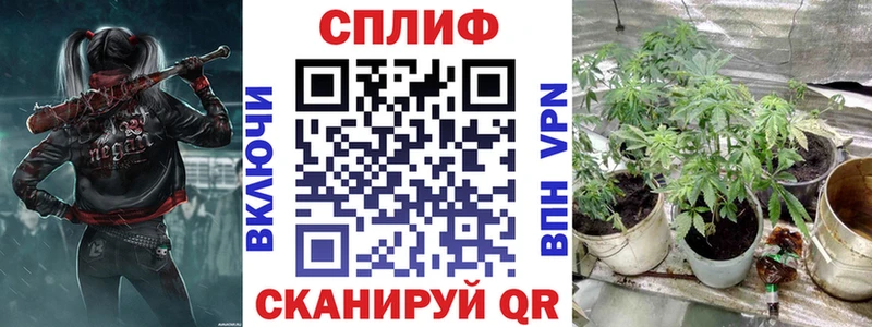 купить наркоту  Камешково  Шишки марихуана AK-47 